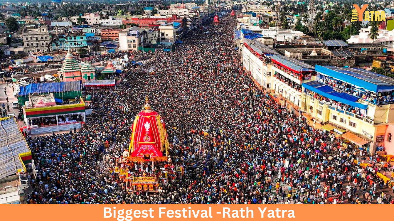 Odisha Festival