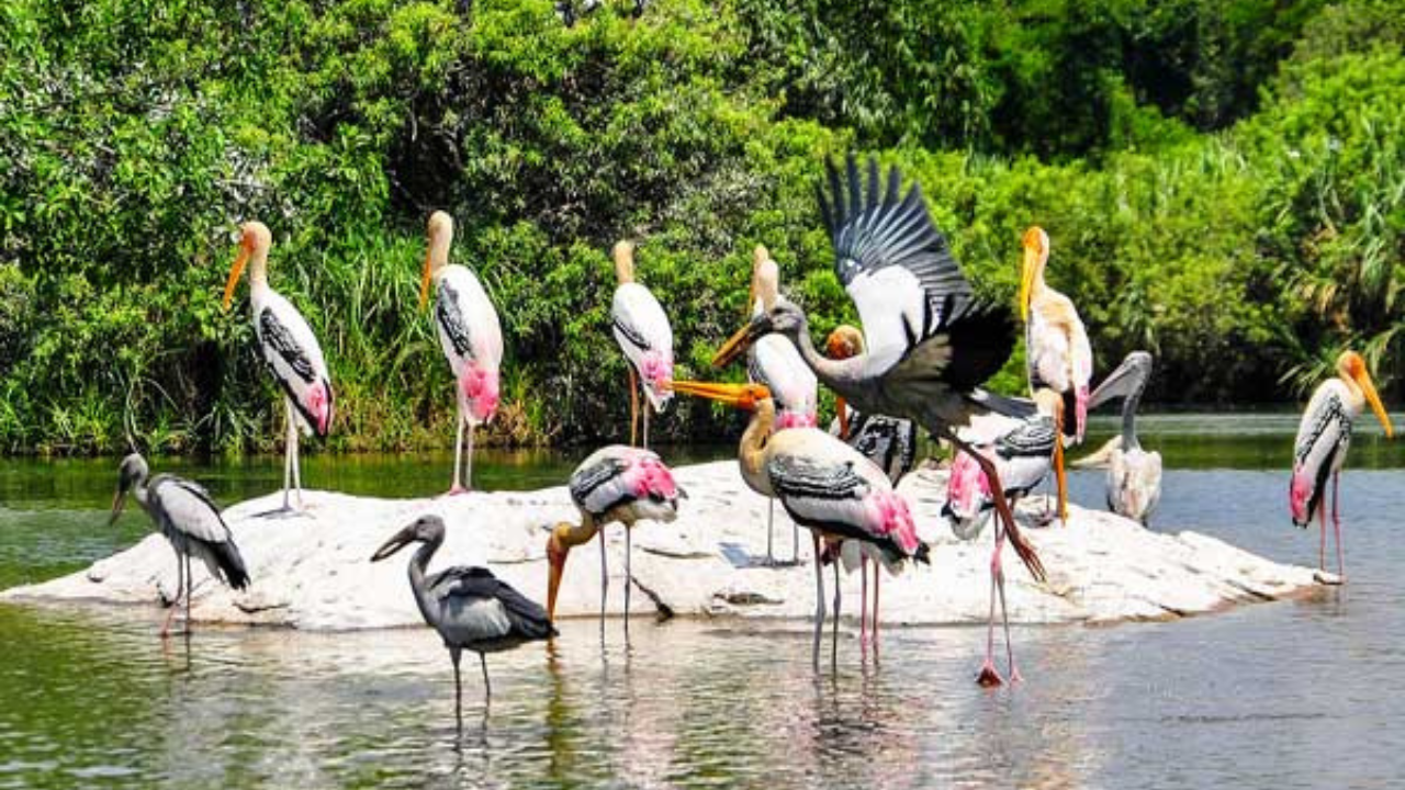 Chilika Lake 9 Most Amazing And Famous Fact About.